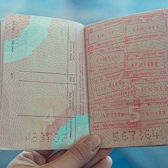 Visa Grant