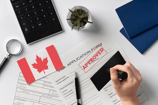 Visa Process